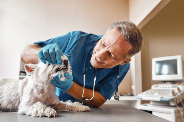 Best Emergency Dental Surgery in Flomaton, AL